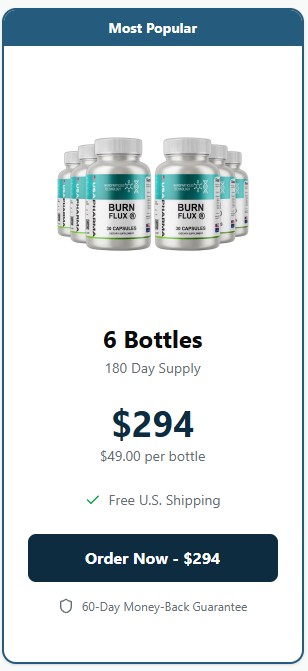 Burnflux 6 Bottle Price